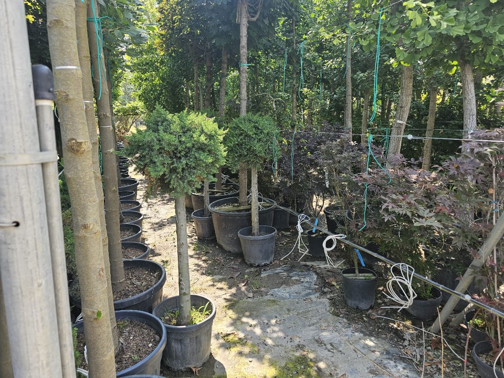 Tire üretim alanı